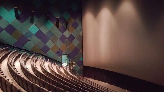 Severtson Provides 46’ x 76’ Silver Cinema Screen for the Audubon Nature Institute’s Newly Renovated 3D Digital Theater